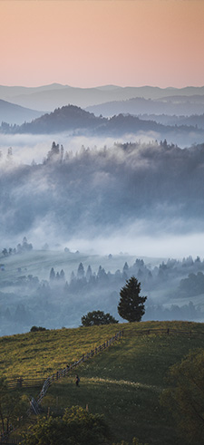 Landscape Wallpaper